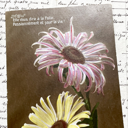 1920s - French Daisy Postcard - Vintage Floral Love Message - Romantic Flower Art - Antique Collectible Sentimental Ephemera Decor