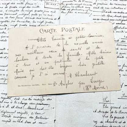 1900s - Antique French Postcard - Je Porte Bonheur Lucky Clover Pink Flowers Vintage Illustration Art Nouveau Era Good Luck Collectible.