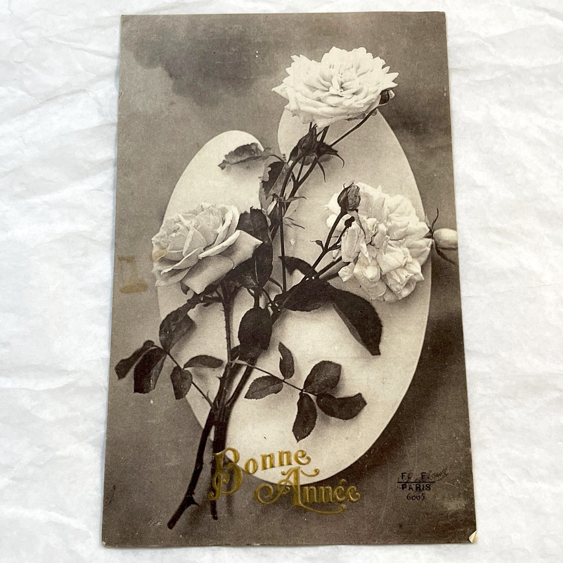 1900s - Vintage French Happy New Year Postcard - Sepia Tone Roses Art - F.F. Paris Publisher - Elegant Floral Greeting Card Collectible