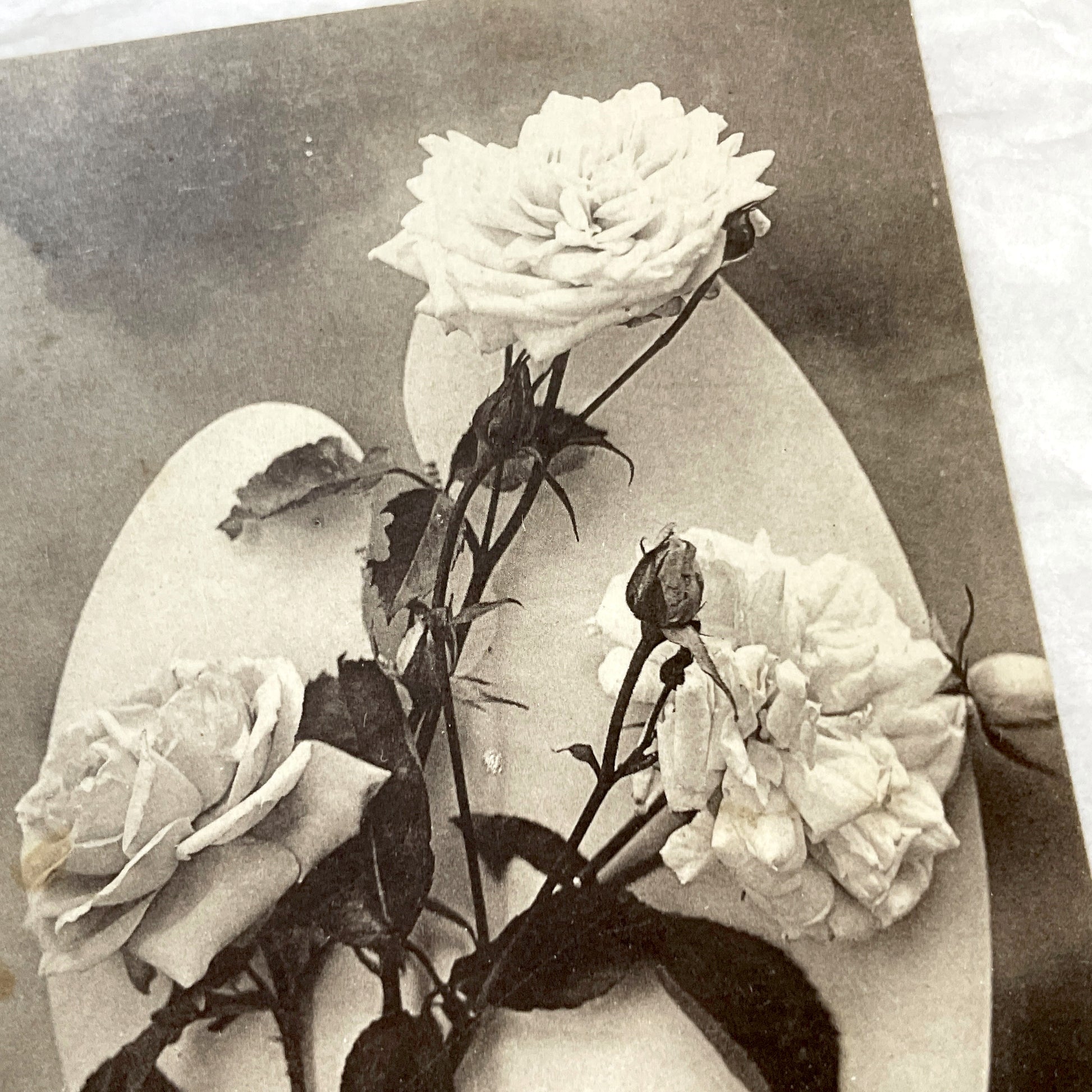 1900s - Vintage French Happy New Year Postcard - Sepia Tone Roses Art - F.F. Paris Publisher - Elegant Floral Greeting Card Collectible