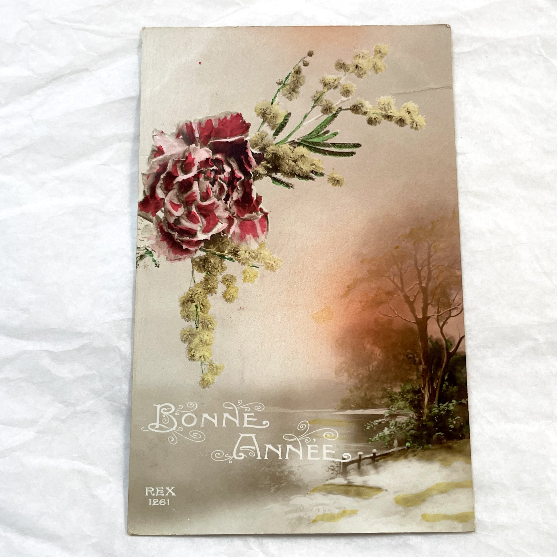 1910s - Vintage French New Year Postcard - Red Carnation & Mimosa Floral Arrangement - Winter Sunset Landscape Art - Collectible Ephemera