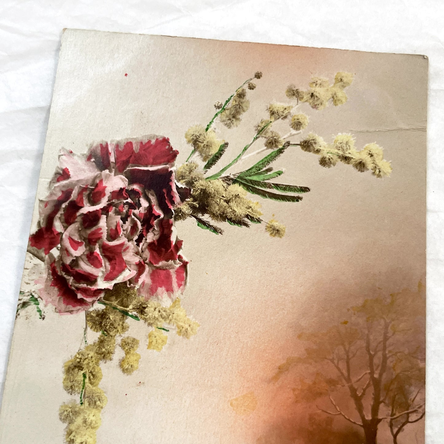 1910s - Vintage French New Year Postcard - Red Carnation & Mimosa Floral Arrangement - Winter Sunset Landscape Art - Collectible Ephemera