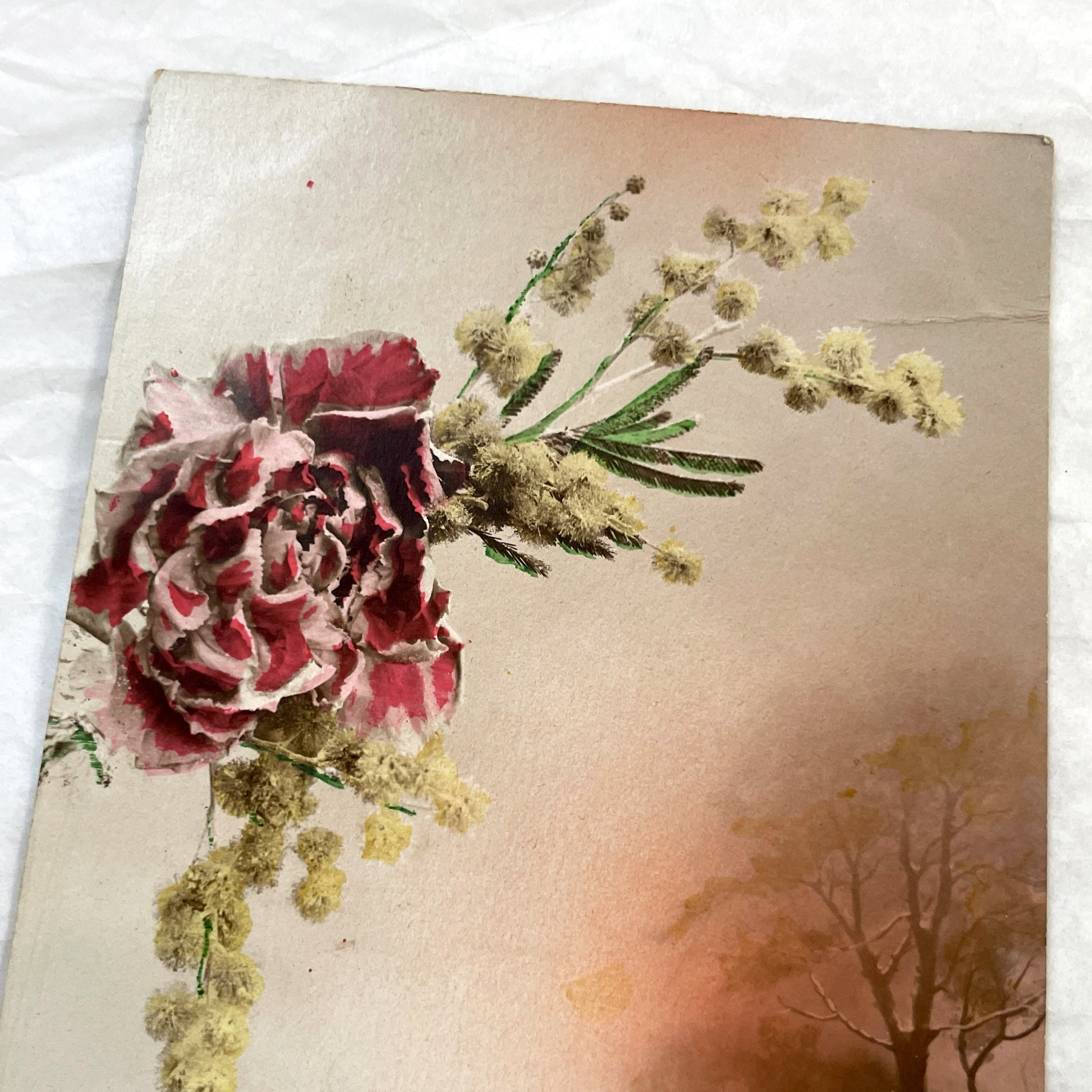 1910s - Vintage French New Year Postcard - Red Carnation & Mimosa Floral Arrangement - Winter Sunset Landscape Art - Collectible Ephemera
