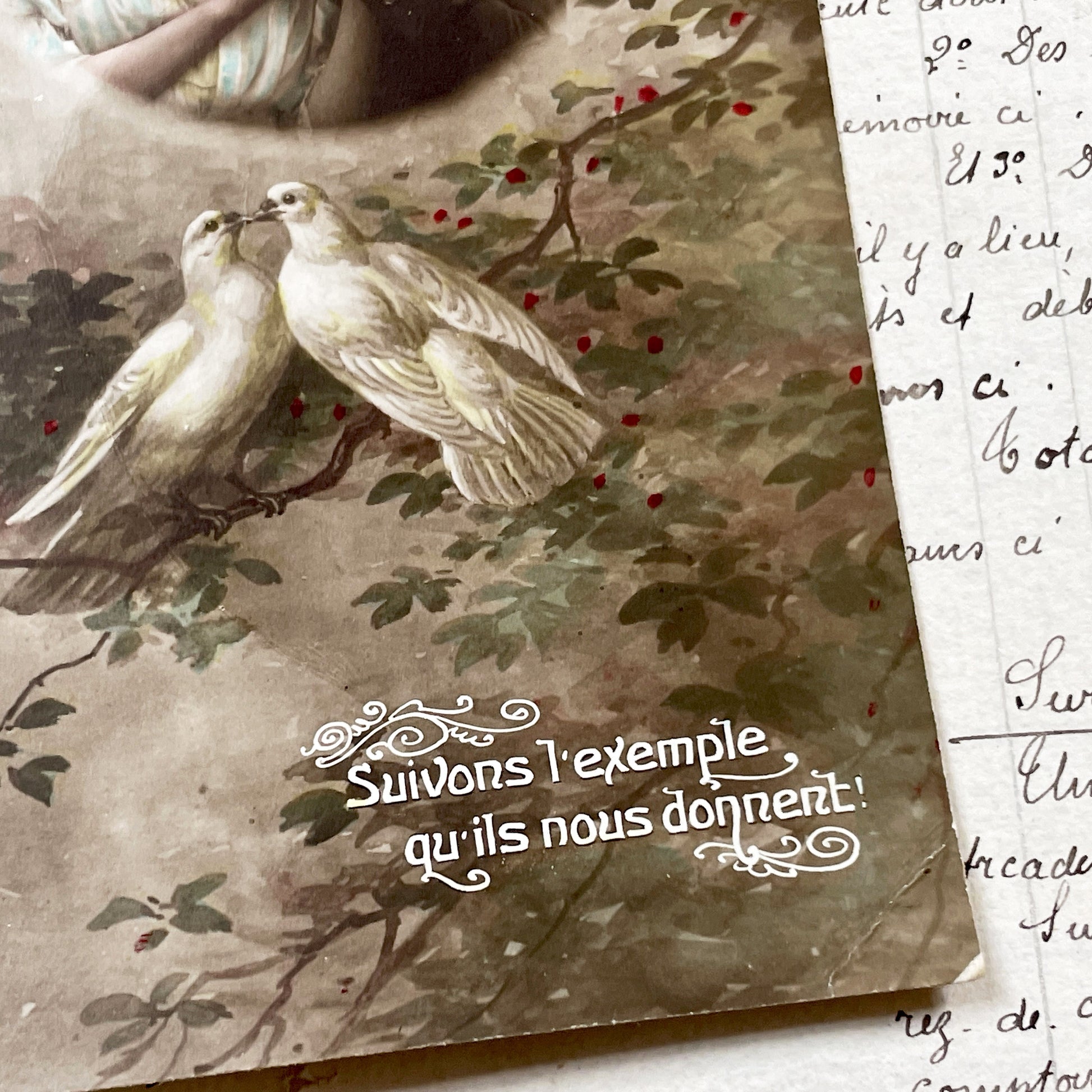 1910s - Vintage Postcard - Romantic Sepia Photo Couple - Love Doves - French Sentiment - Antique Ephemera - Red Berries - Sweet Gift