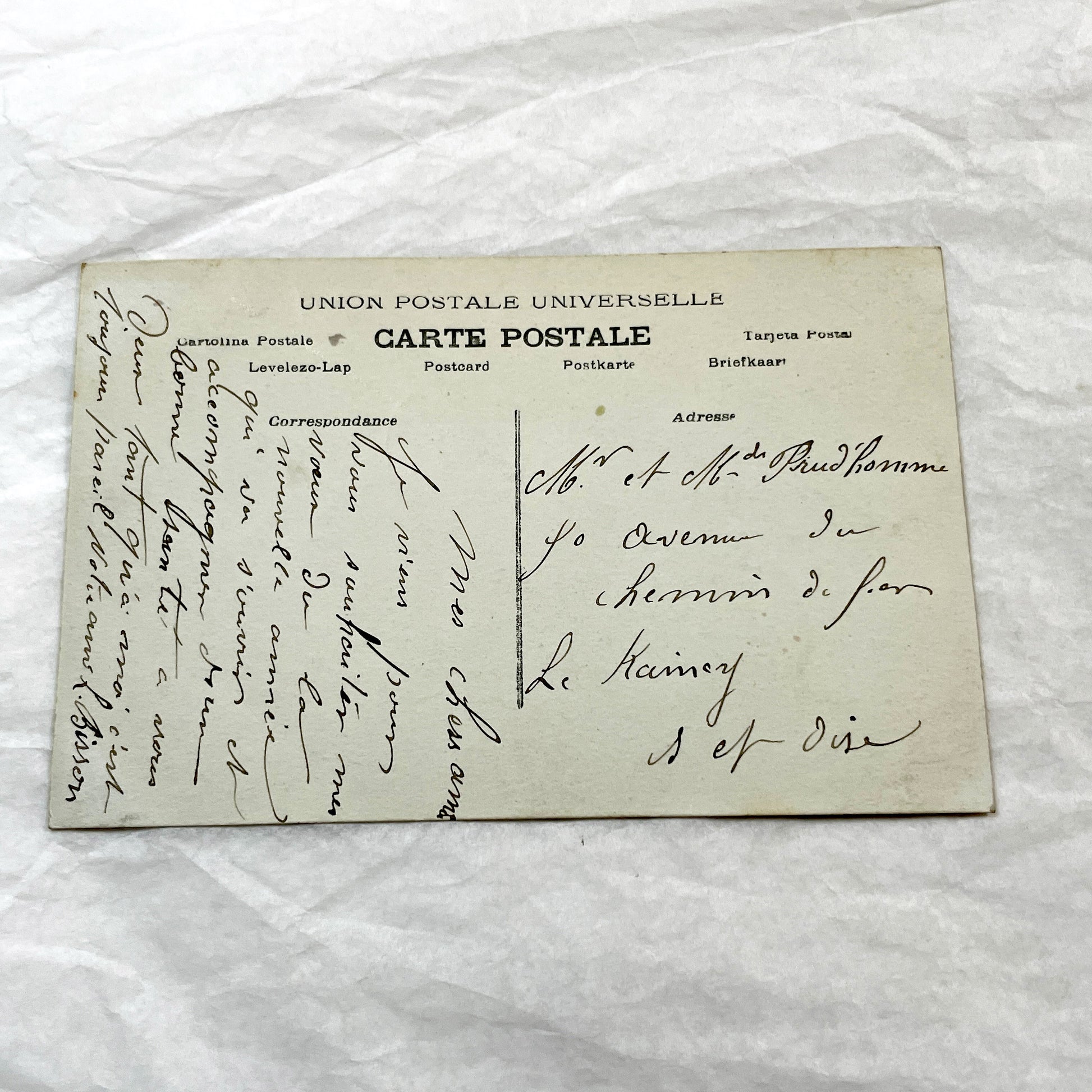 1900s - Vintage French New Year Postcard - Elegant Lady in Fur Stole - Belle Époque Fashion - Parisian Greetings - Collectible