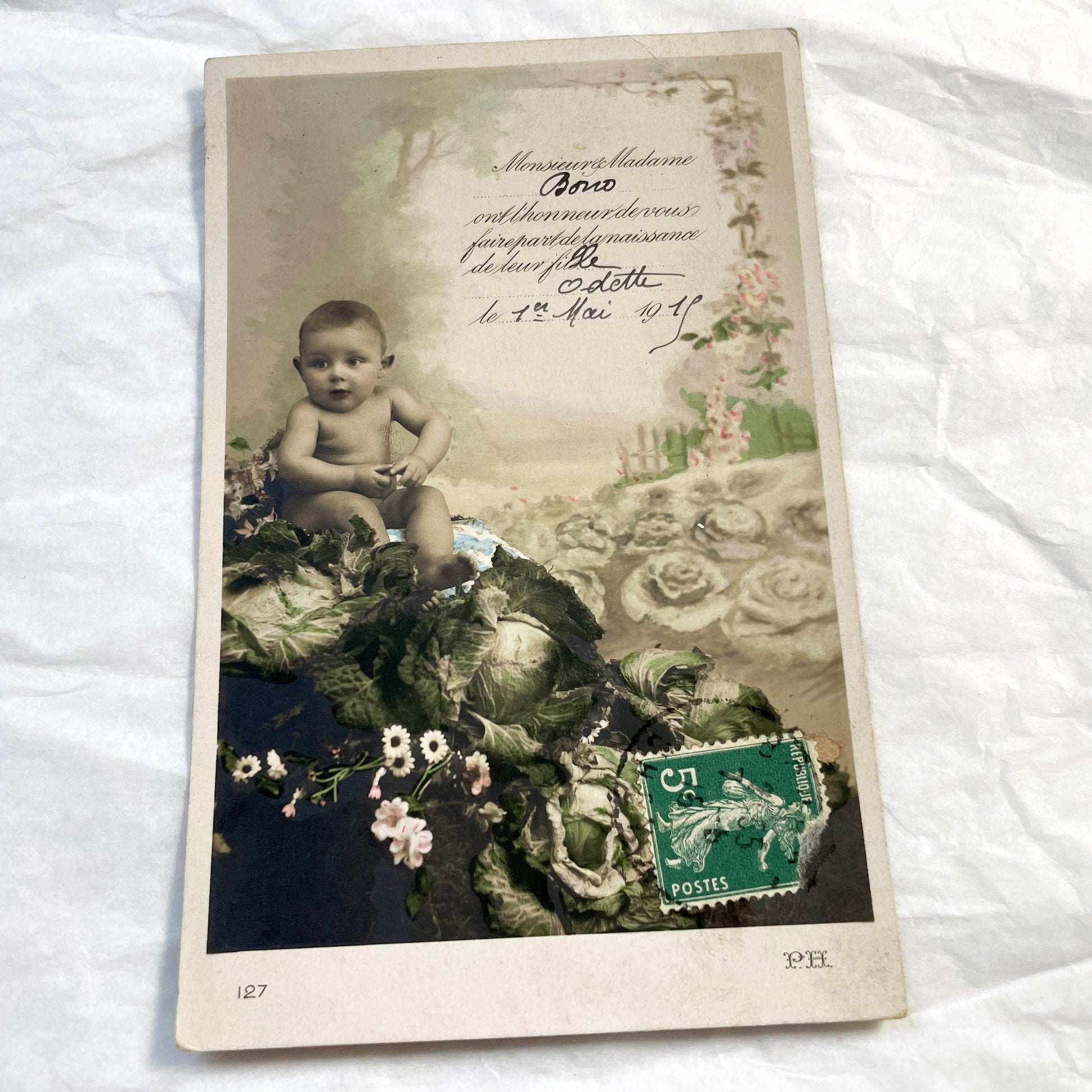 1910s - Vintage French Birth Announcement Postcard - Adorable Baby in Cabbage - Odette 1911 - Antique Ephemera Collectible