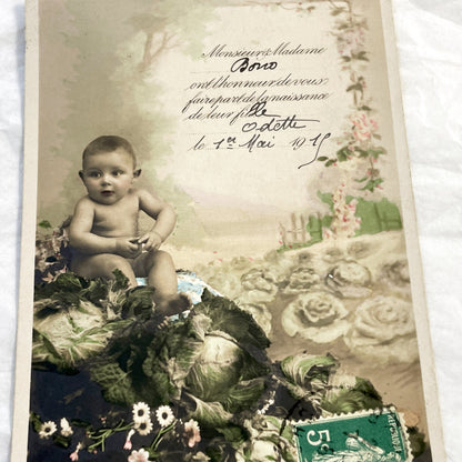 1910s - Vintage French Birth Announcement Postcard - Adorable Baby in Cabbage - Odette 1911 - Antique Ephemera Collectible