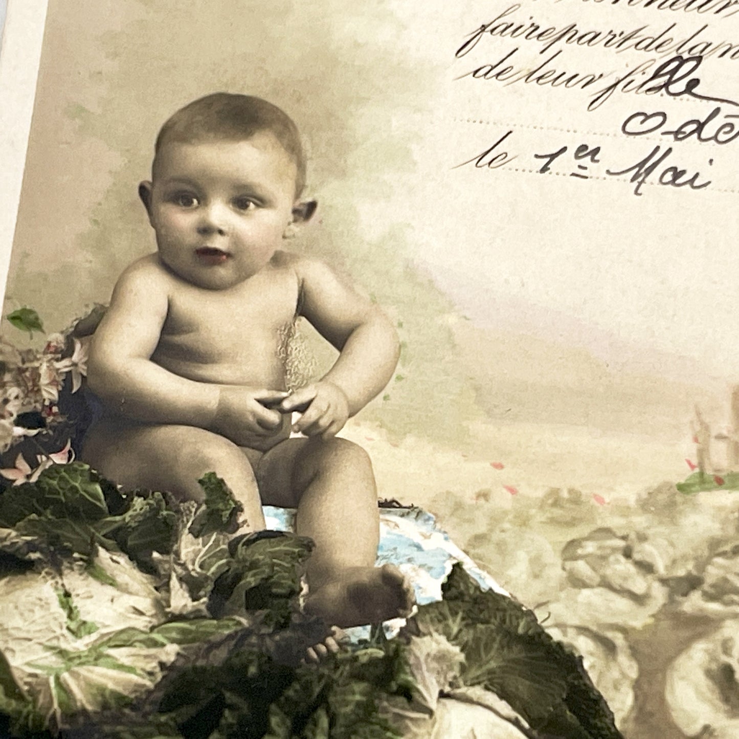 1910s - Vintage French Birth Announcement Postcard - Adorable Baby in Cabbage - Odette 1911 - Antique Ephemera Collectible