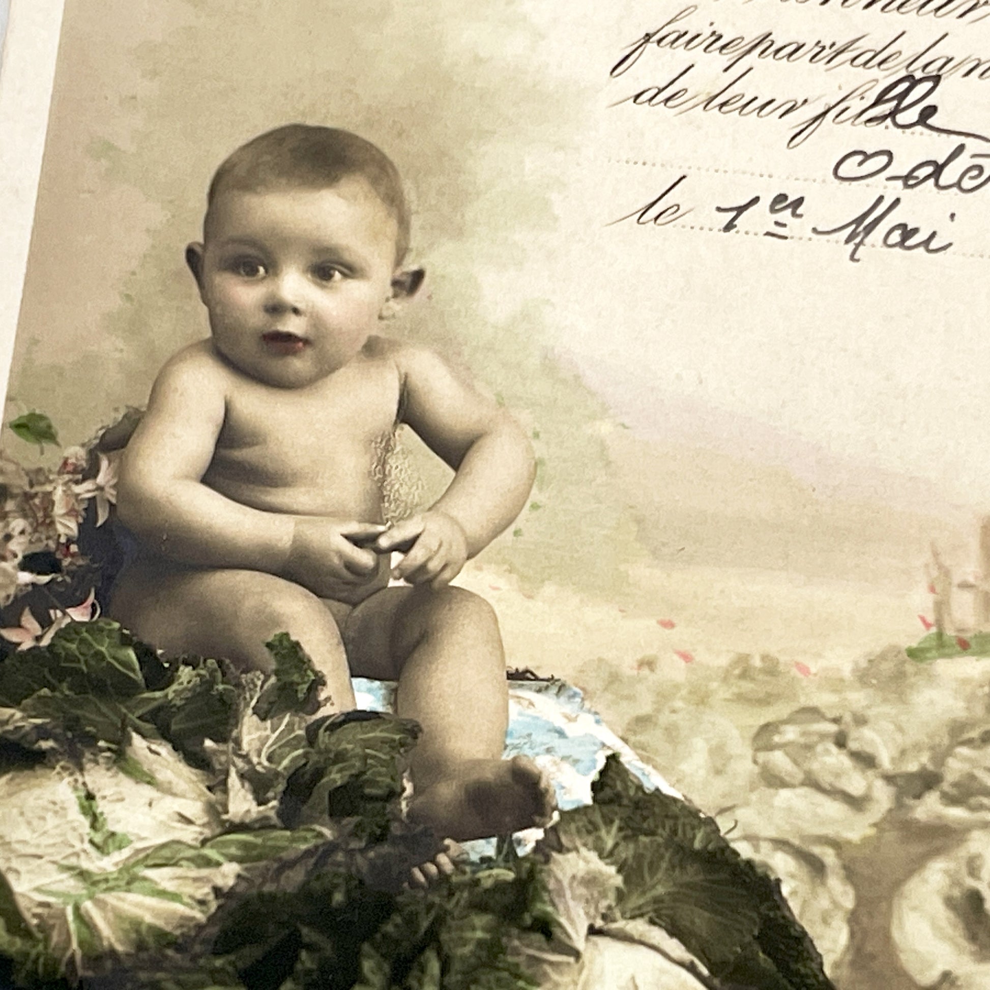 1910s - Vintage French Birth Announcement Postcard - Adorable Baby in Cabbage - Odette 1911 - Antique Ephemera Collectible