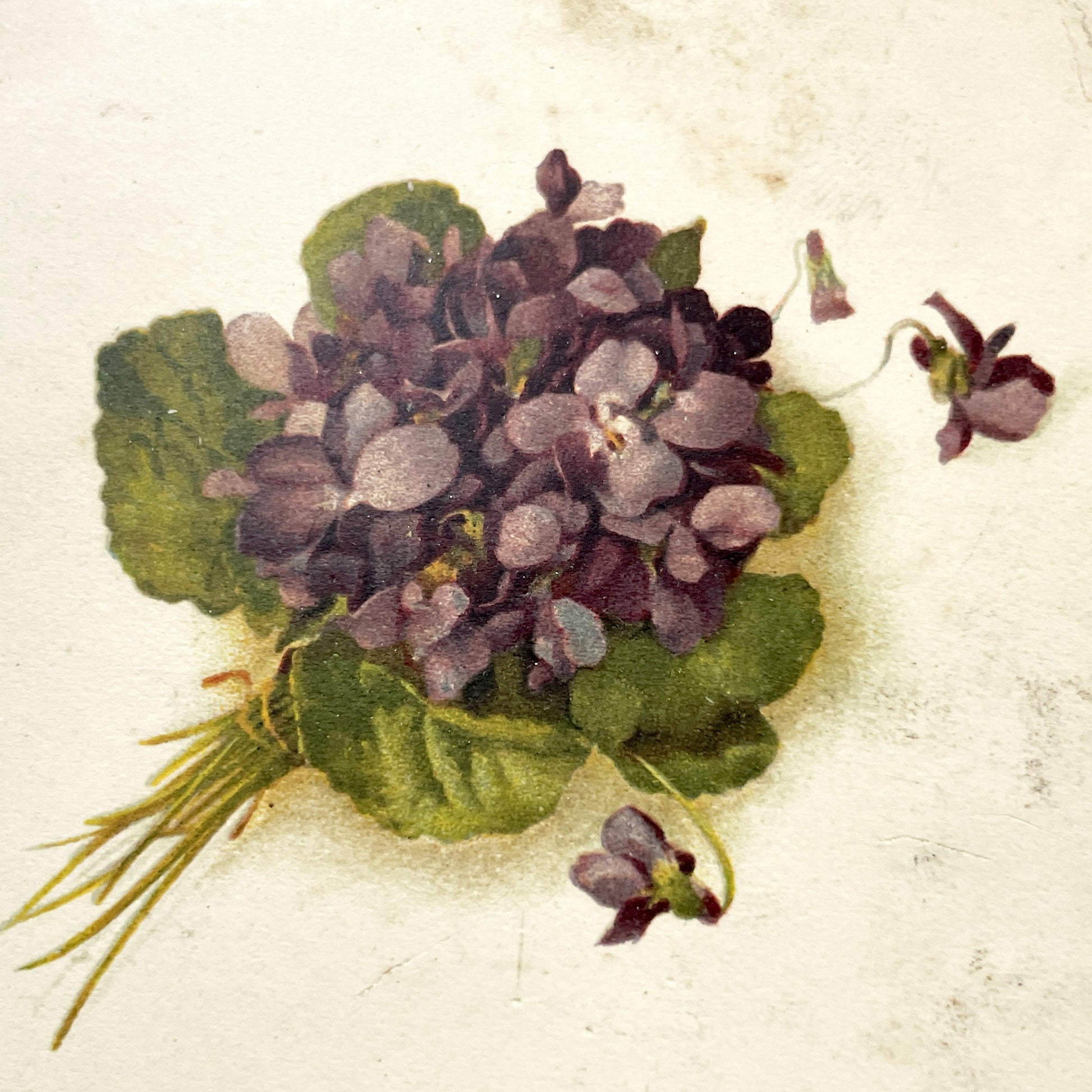 1900s - Vintage French New Year Postcard - Bouquet of Violets - Floral Art Nouveau Greeting Card - Holiday Wishes Ephemera Collectible