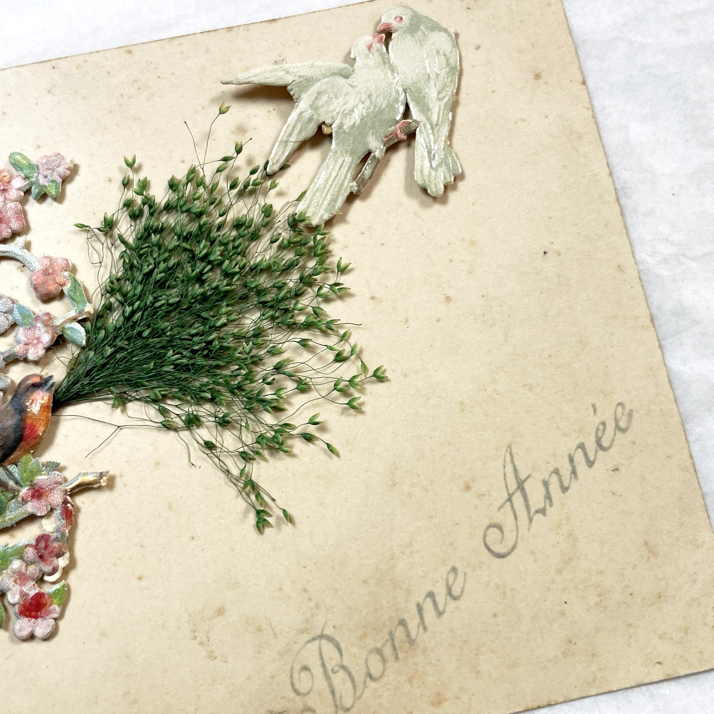 1900s - Vintage French New Year Postcard - Embossed Birdhouse with Robin - Applied Doves, Ribbon, and Dried Flora - Charming Ephemera