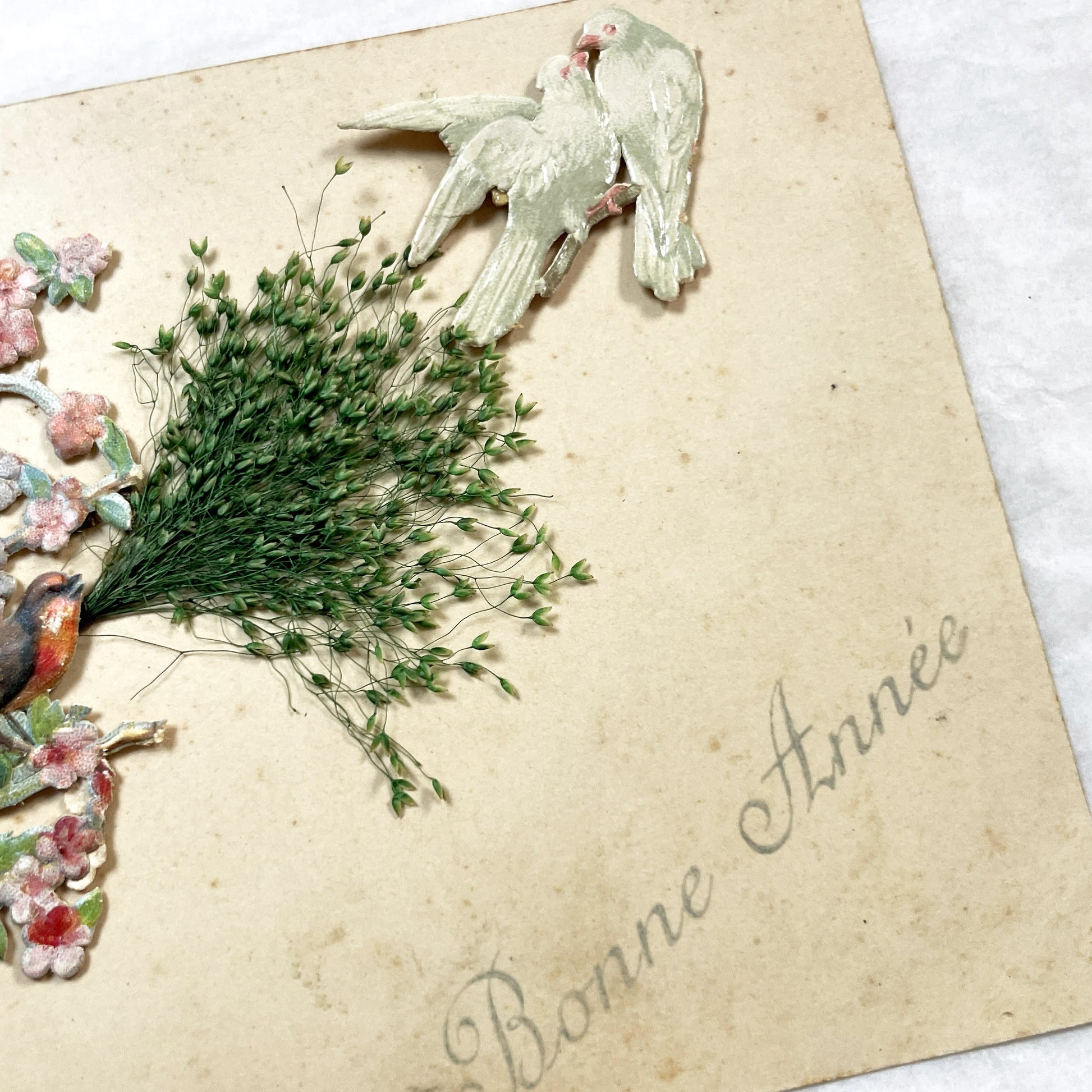 1900s - Vintage French New Year Postcard - Embossed Birdhouse with Robin - Applied Doves, Ribbon, and Dried Flora - Charming Ephemera
