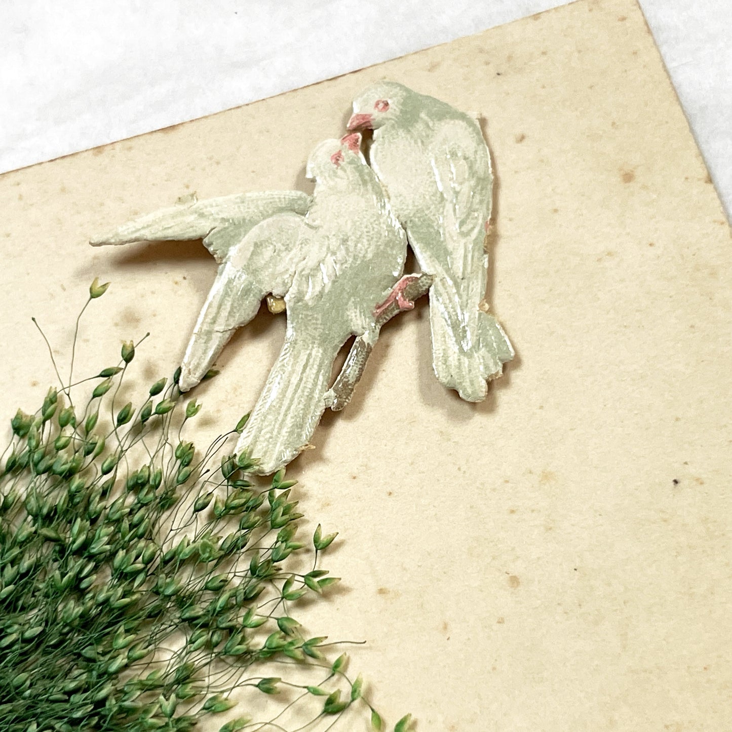 1900s - Vintage French New Year Postcard - Embossed Birdhouse with Robin - Applied Doves, Ribbon, and Dried Flora - Charming Ephemera