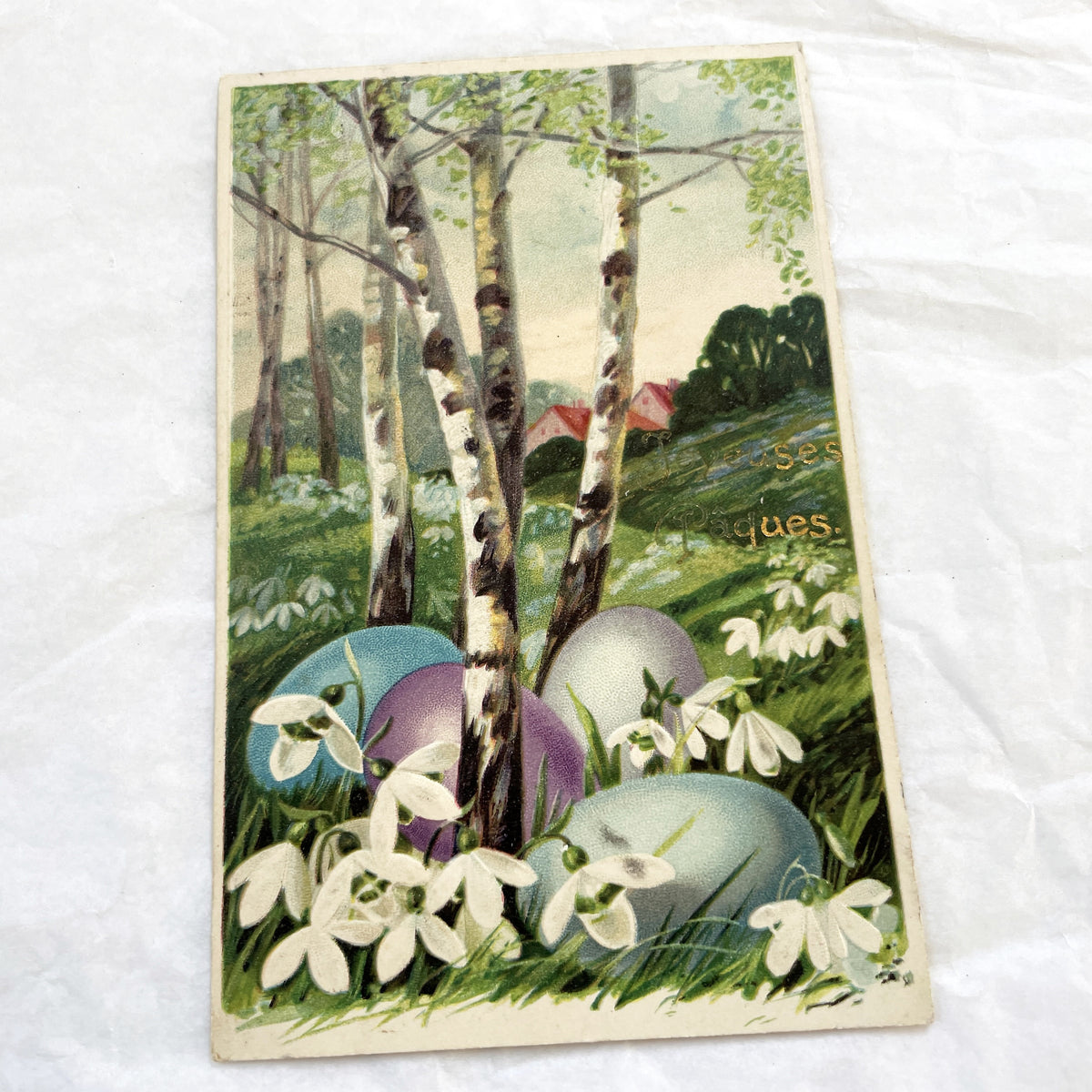 1900s - Vintage Easter Postcard - French Joyeuses Pâques - Birches Snowdrops Eggs - Spring Holiday Greeting Card Collectible Art Nouveau