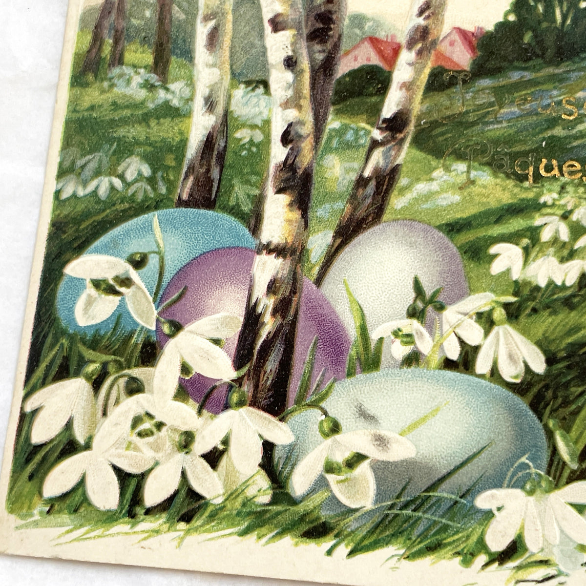 1900s - Vintage Easter Postcard - French Joyeuses Pâques - Birches Snowdrops Eggs - Spring Holiday Greeting Card Collectible Art Nouveau