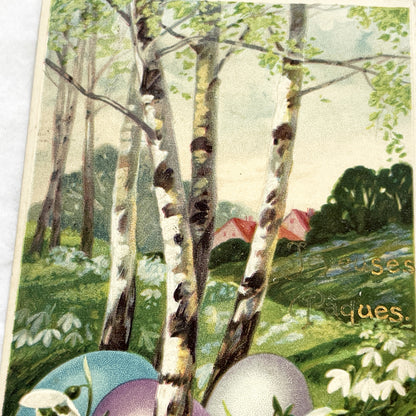 1900s - Vintage Easter Postcard - French Joyeuses Pâques - Birches Snowdrops Eggs - Spring Holiday Greeting Card Collectible Art Nouveau