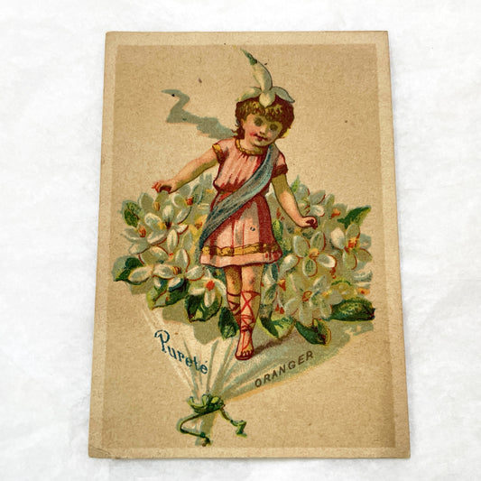 Late 19th - 2 Vintage French Trade Cards - Advertising Williot Fils Chicory - Collectible Victorian Ephemera - Set of Two Antique Prints