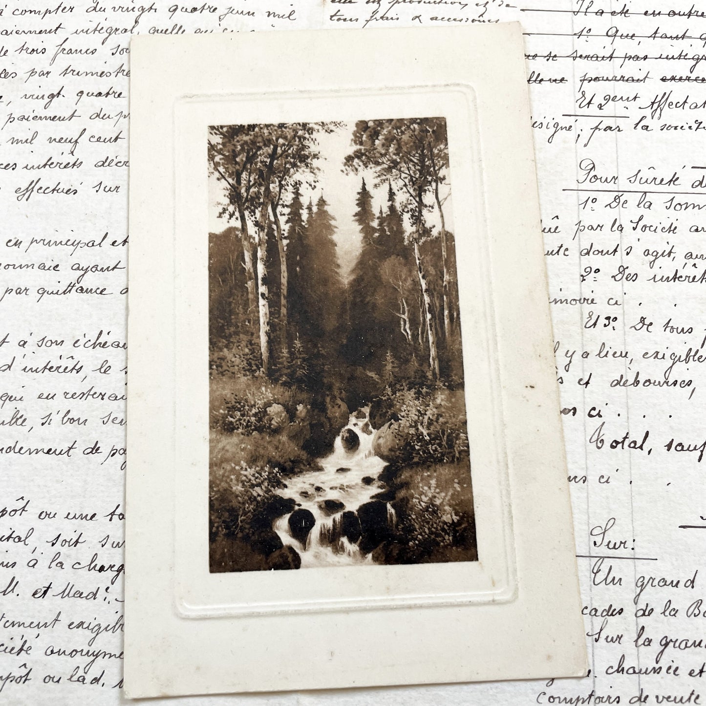 1910s - Vintage Sepia Forest Stream Postcard - European Landscape Nature Photography - Serene Woodland Creek - Old Travel Memorabilia