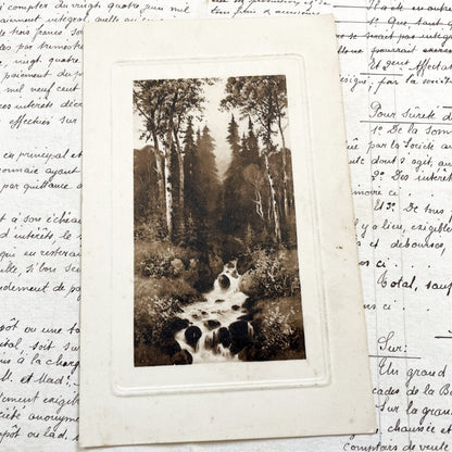 1910s - Vintage Sepia Forest Stream Postcard - European Landscape Nature Photography - Serene Woodland Creek - Old Travel Memorabilia