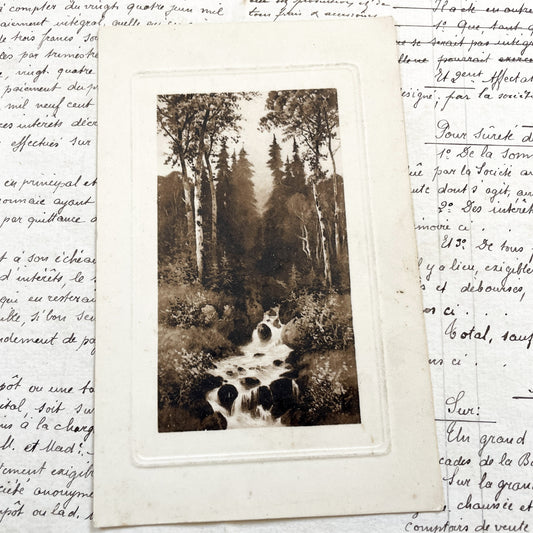 1910s - Vintage Sepia Forest Stream Postcard - European Landscape Nature Photography - Serene Woodland Creek - Old Travel Memorabilia