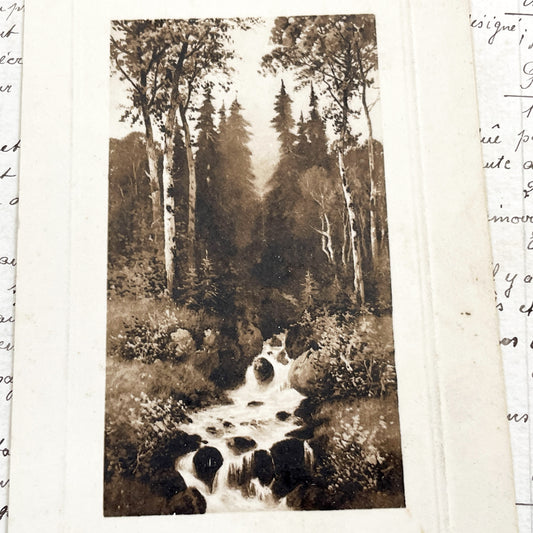 1910s - Vintage Sepia Forest Stream Postcard - European Landscape Nature Photography - Serene Woodland Creek - Old Travel Memorabilia
