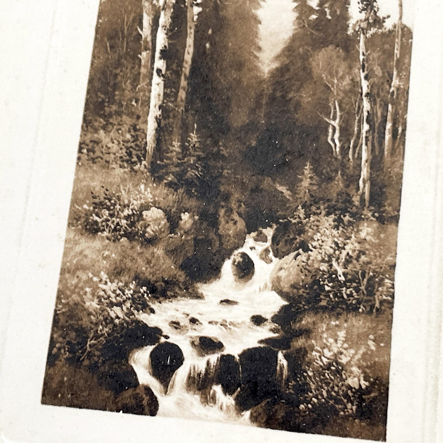 1910s - Vintage Sepia Forest Stream Postcard - European Landscape Nature Photography - Serene Woodland Creek - Old Travel Memorabilia