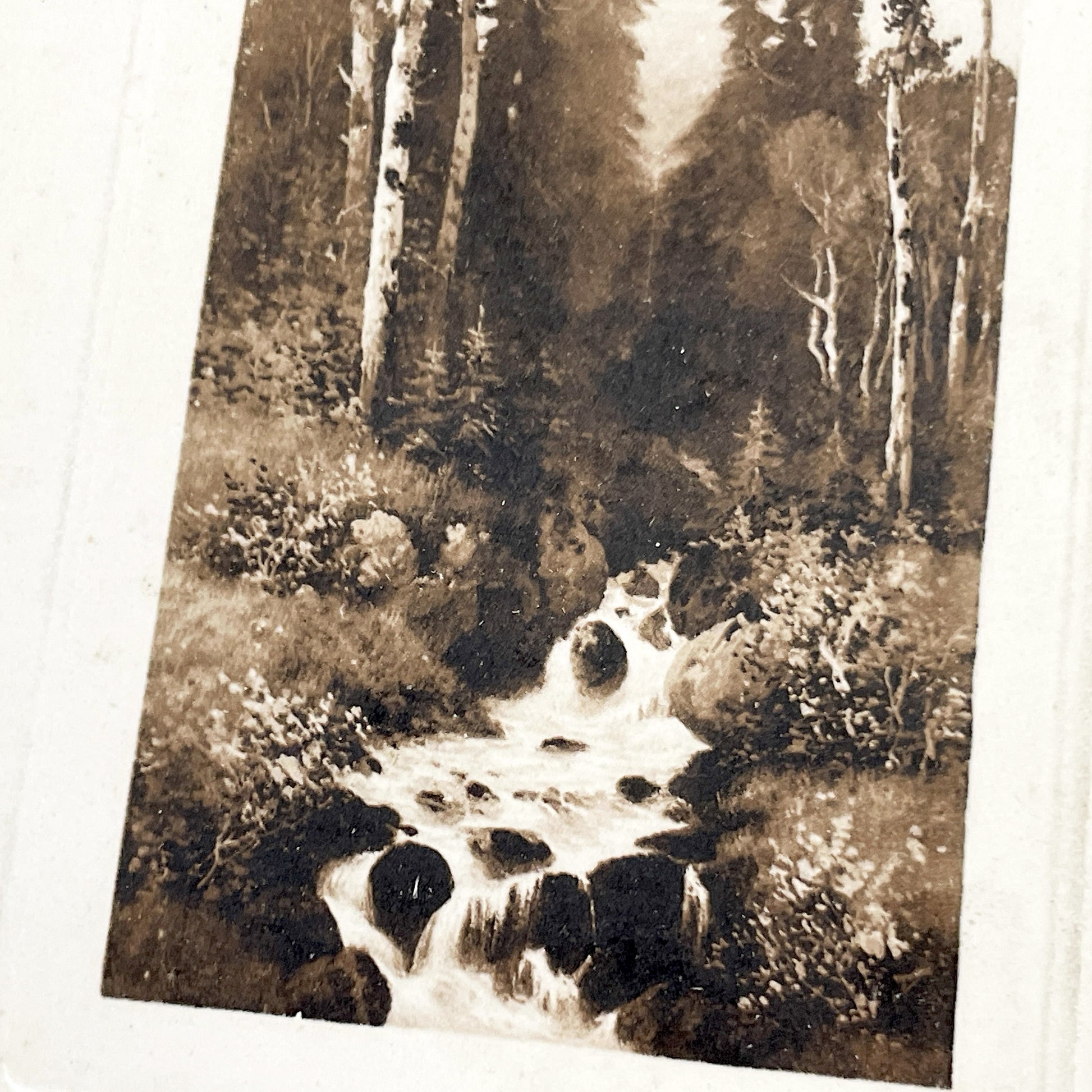 1910s - Vintage Sepia Forest Stream Postcard - European Landscape Nature Photography - Serene Woodland Creek - Old Travel Memorabilia