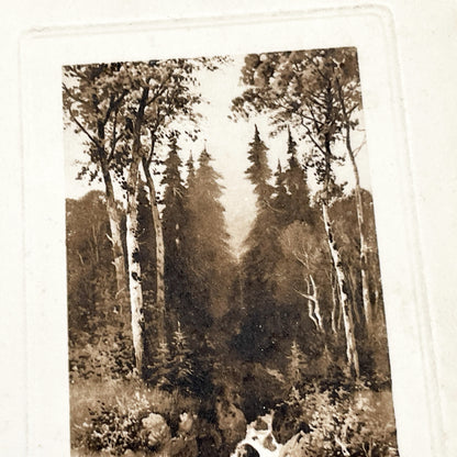 1910s - Vintage Sepia Forest Stream Postcard - European Landscape Nature Photography - Serene Woodland Creek - Old Travel Memorabilia