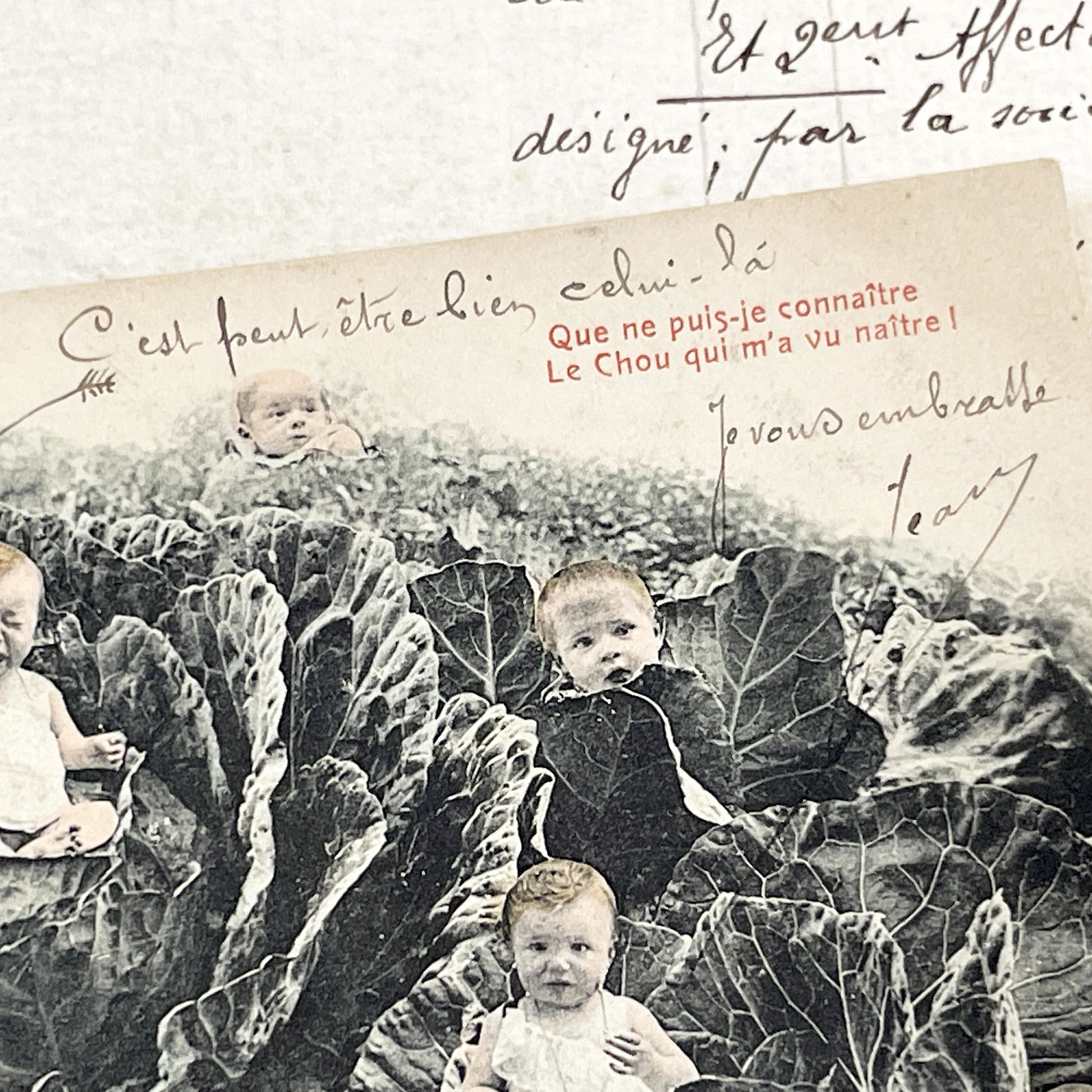 1910s - French Postcard - Babies In Cabbages - Vintage Humorous Folklore - Infant Whimsy Greeting Card - Early 20th Century Charm