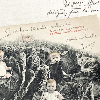 1910s - French Postcard - Babies In Cabbages - Vintage Humorous Folklore - Infant Whimsy Greeting Card - Early 20th Century Charm