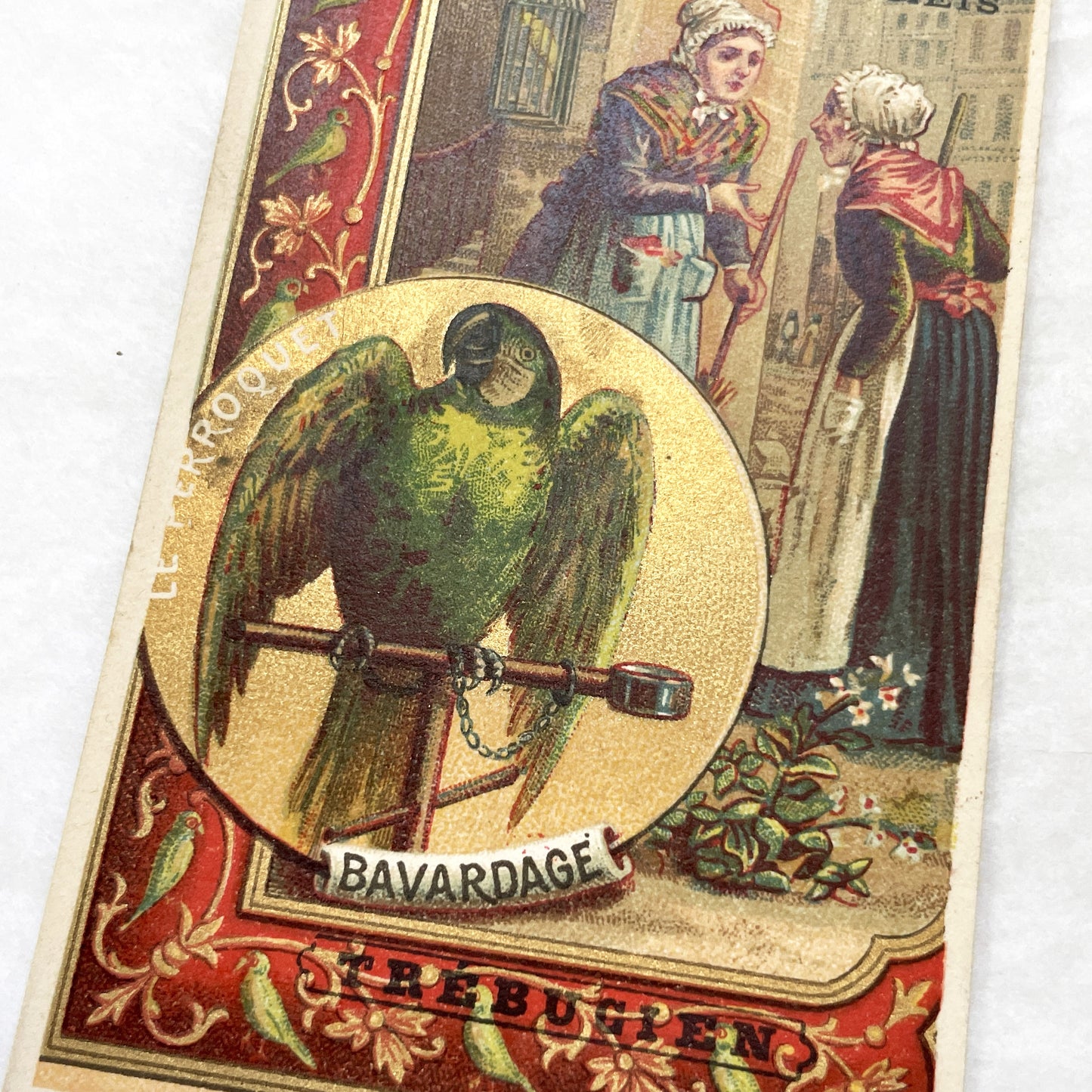 Late 19th - Vintage French Advertising Trade Card - Café Des Gourmets Product Promotion - Parrot - Parisian Street Scene - Chromolithography