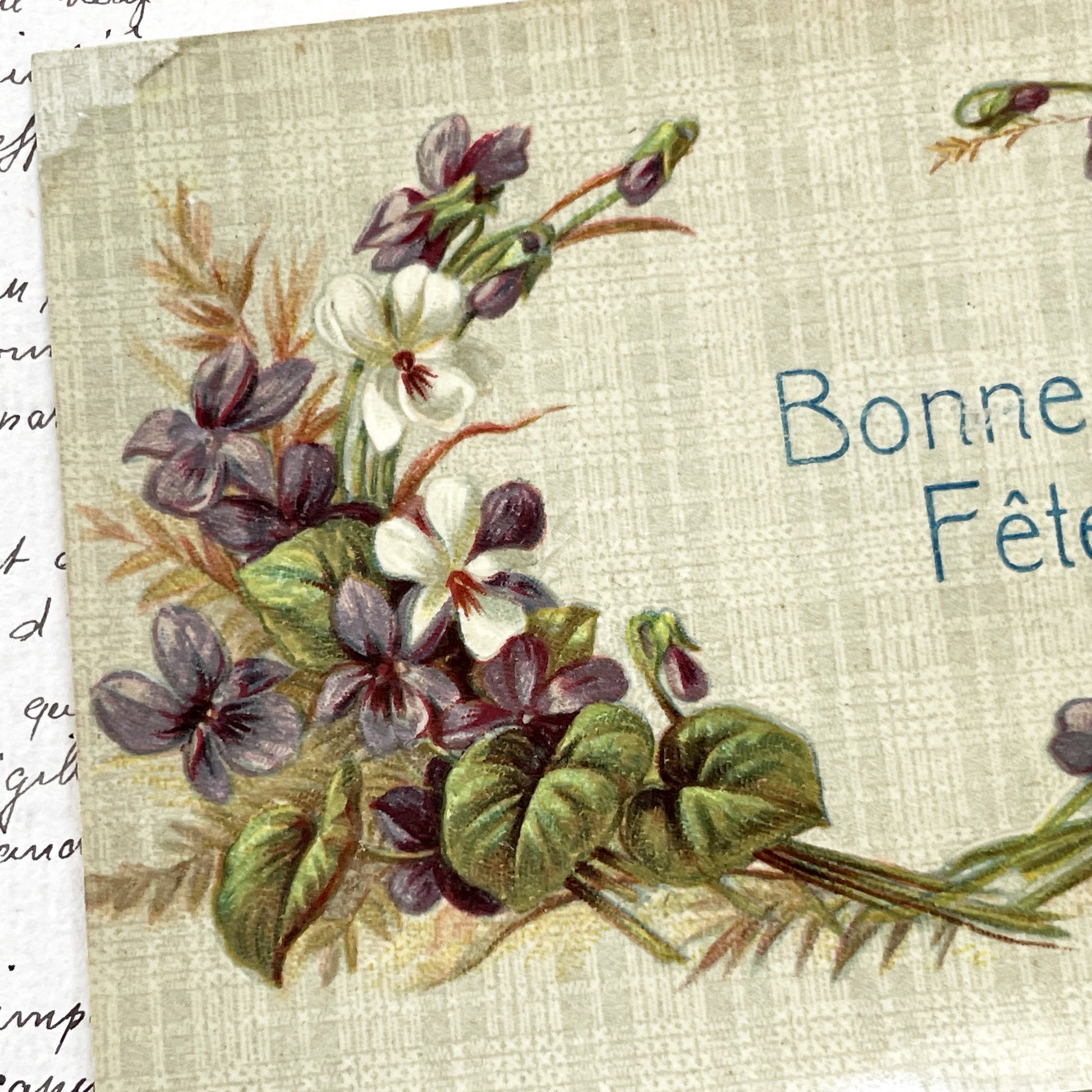1910s - Antique French Bonne Fete Postcard - Violet Floral Wreath - Vintage Ephemera - Collectible Art Print - Botanical