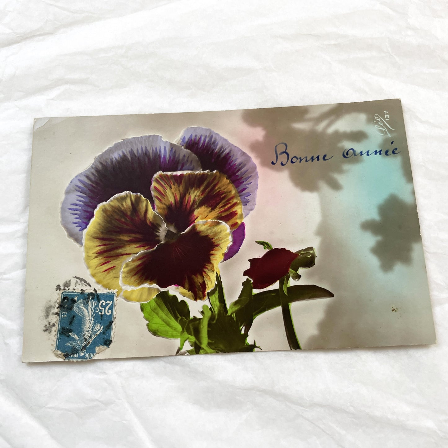 1900s - Vintage French Bonne Année Postcard - Vibrant Pansy Flower Art - Edwardian Era Greeting - New Year Floral Ephemera Collectible