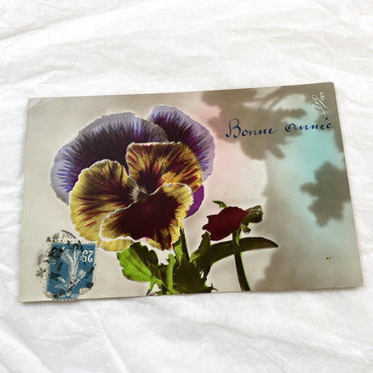 1900s - Vintage French Bonne Année Postcard - Vibrant Pansy Flower Art - Edwardian Era Greeting - New Year Floral Ephemera Collectible