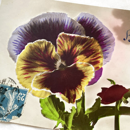 1900s - Vintage French Bonne Année Postcard - Vibrant Pansy Flower Art - Edwardian Era Greeting - New Year Floral Ephemera Collectible