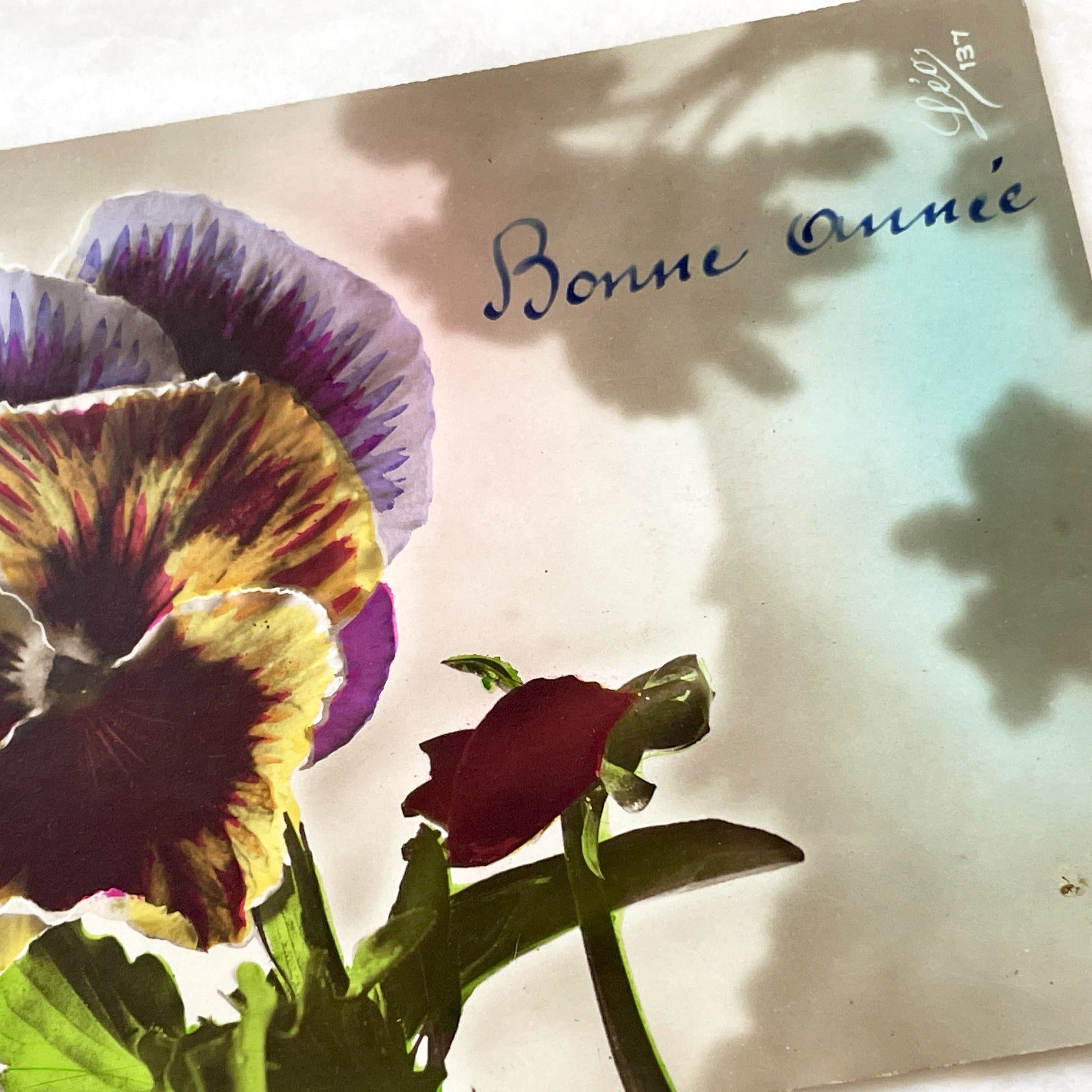 1900s - Vintage French Bonne Année Postcard - Vibrant Pansy Flower Art - Edwardian Era Greeting - New Year Floral Ephemera Collectible