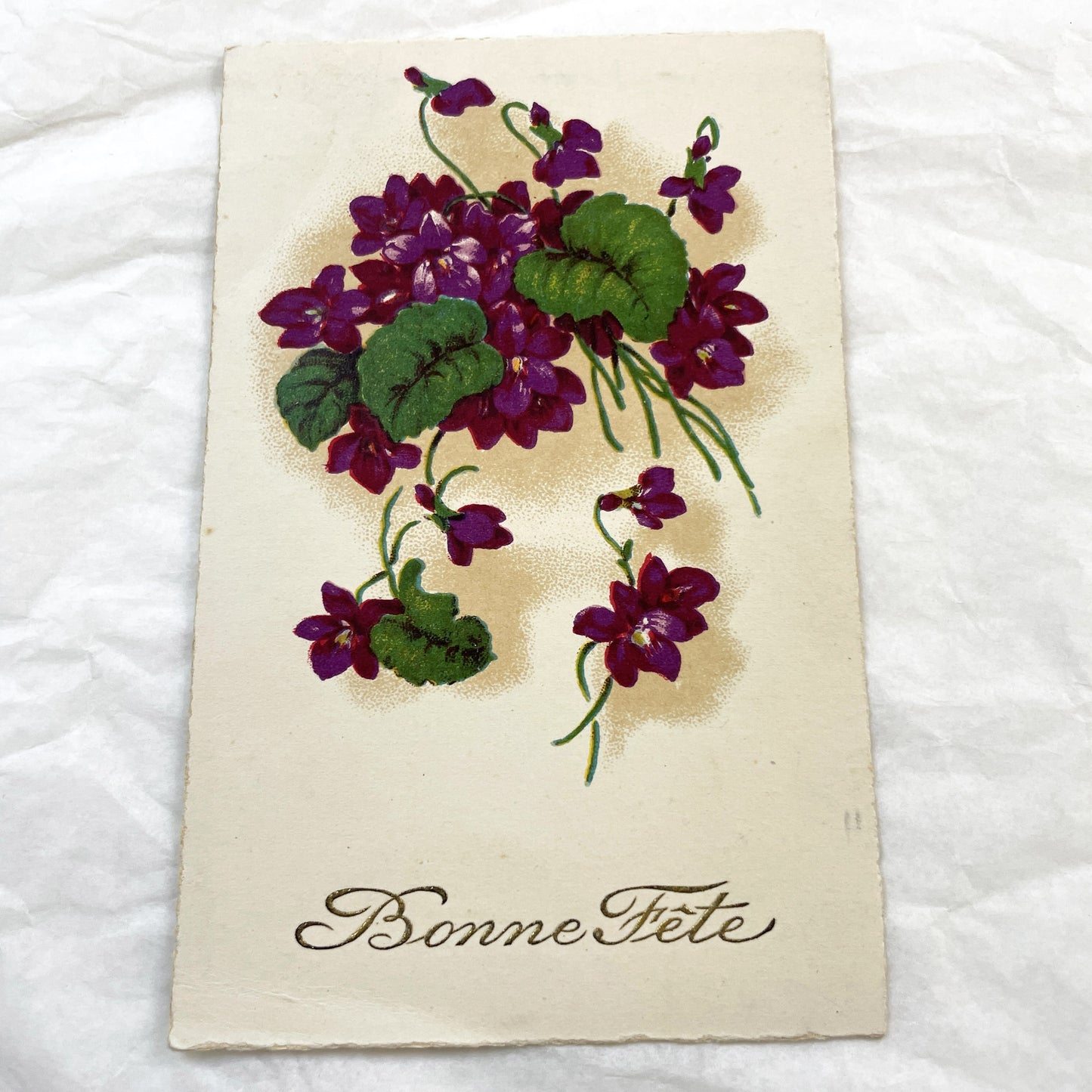 1940s - Vintage French Bonne Fête Postcard - Vibrant Purple Violets Floral Bouquet - Antique Greeting Card - Collectible Ephemera Gift