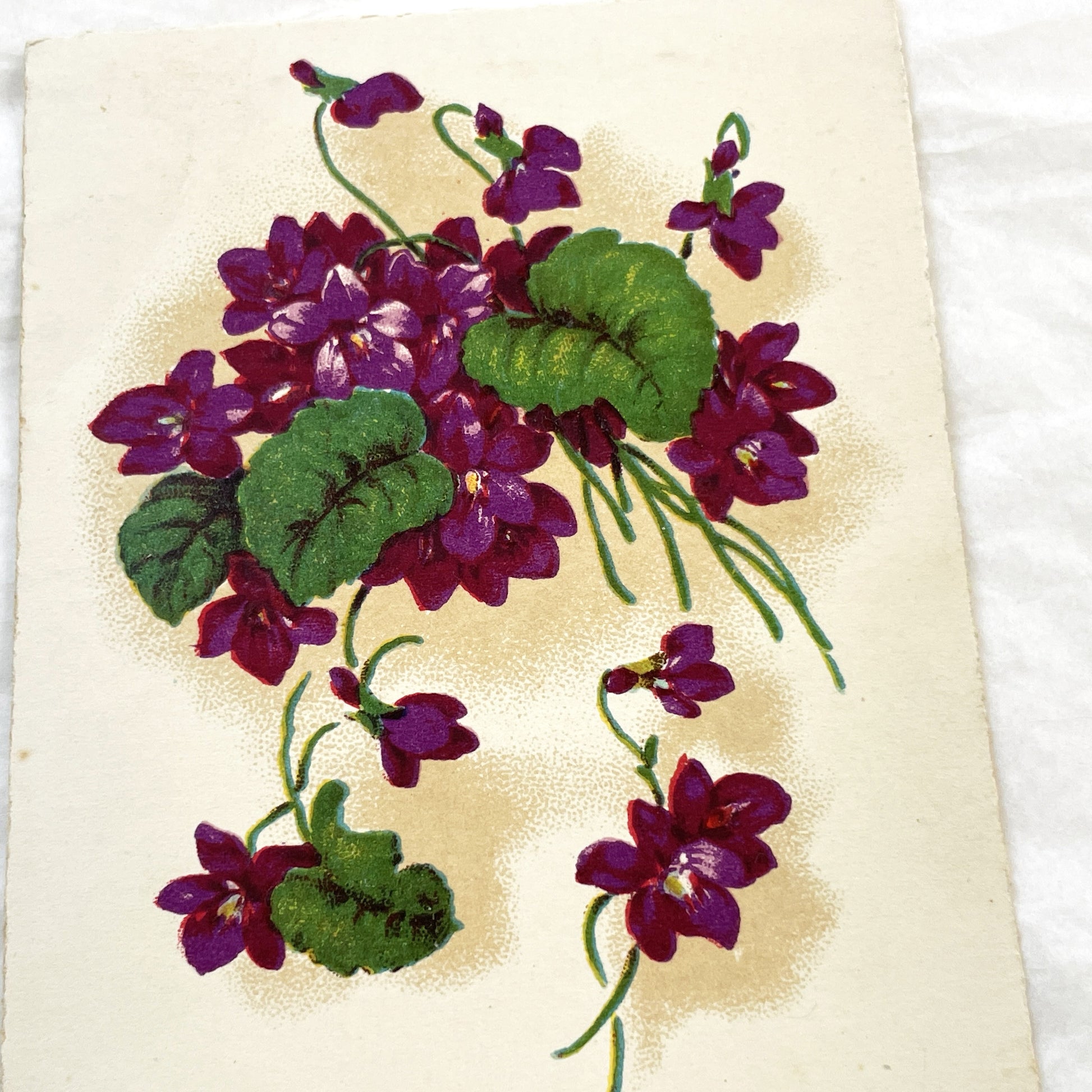 1940s - Vintage French Bonne Fête Postcard - Vibrant Purple Violets Floral Bouquet - Antique Greeting Card - Collectible Ephemera Gift