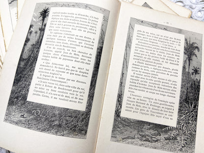 1880s – Set of 16 engraved sheets with ornate borders and French text - Antique illustrated book pages