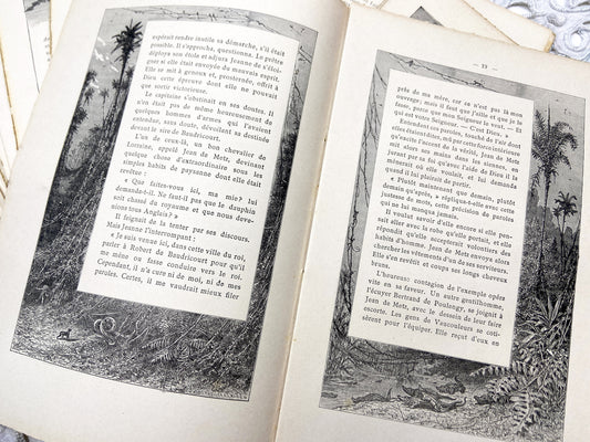 1880s – Set of 16 engraved sheets with ornate borders and French text - Antique illustrated book pages