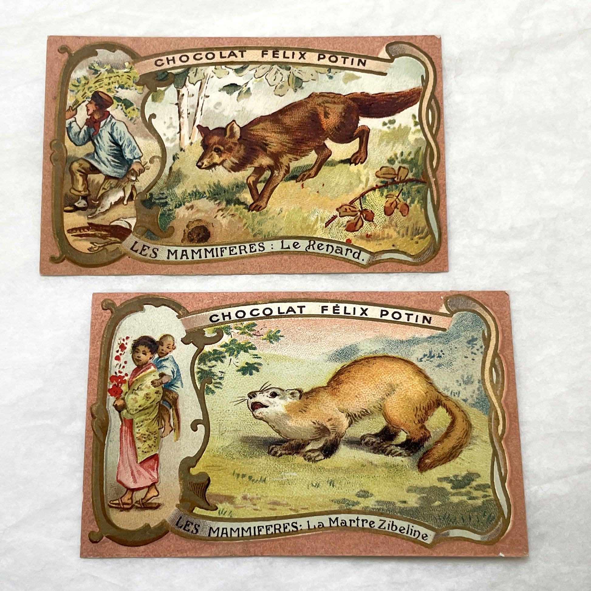 1900s - 2 Vintage Félix Potin Chocolate Advertising Cards - Mammals Series - Fox & Sable Marten Chromos - French Collectibles - Ephemera Art