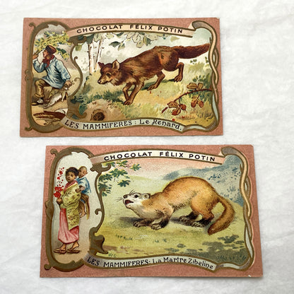 1900s - 2 Vintage Félix Potin Chocolate Advertising Cards - Mammals Series - Fox & Sable Marten Chromos - French Collectibles - Ephemera Art