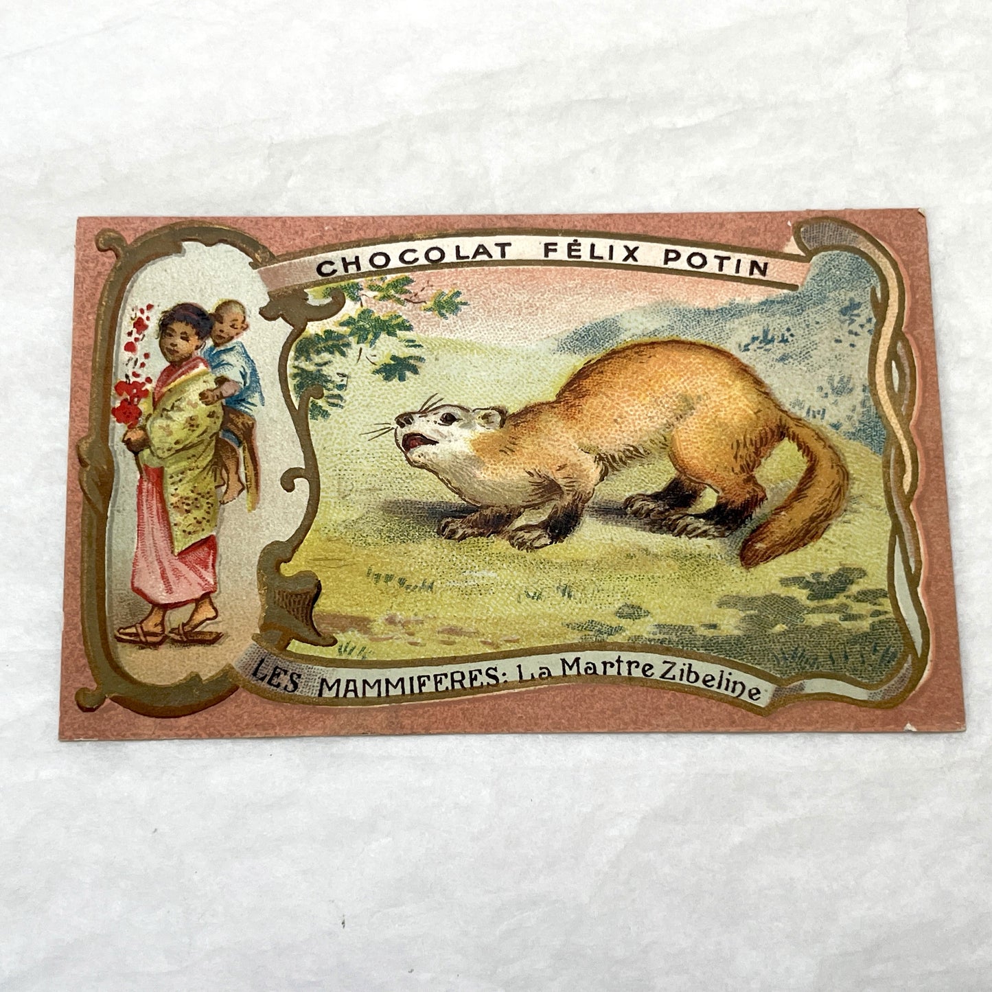 1900s - 2 Vintage Félix Potin Chocolate Advertising Cards - Mammals Series - Fox & Sable Marten Chromos - French Collectibles - Ephemera Art