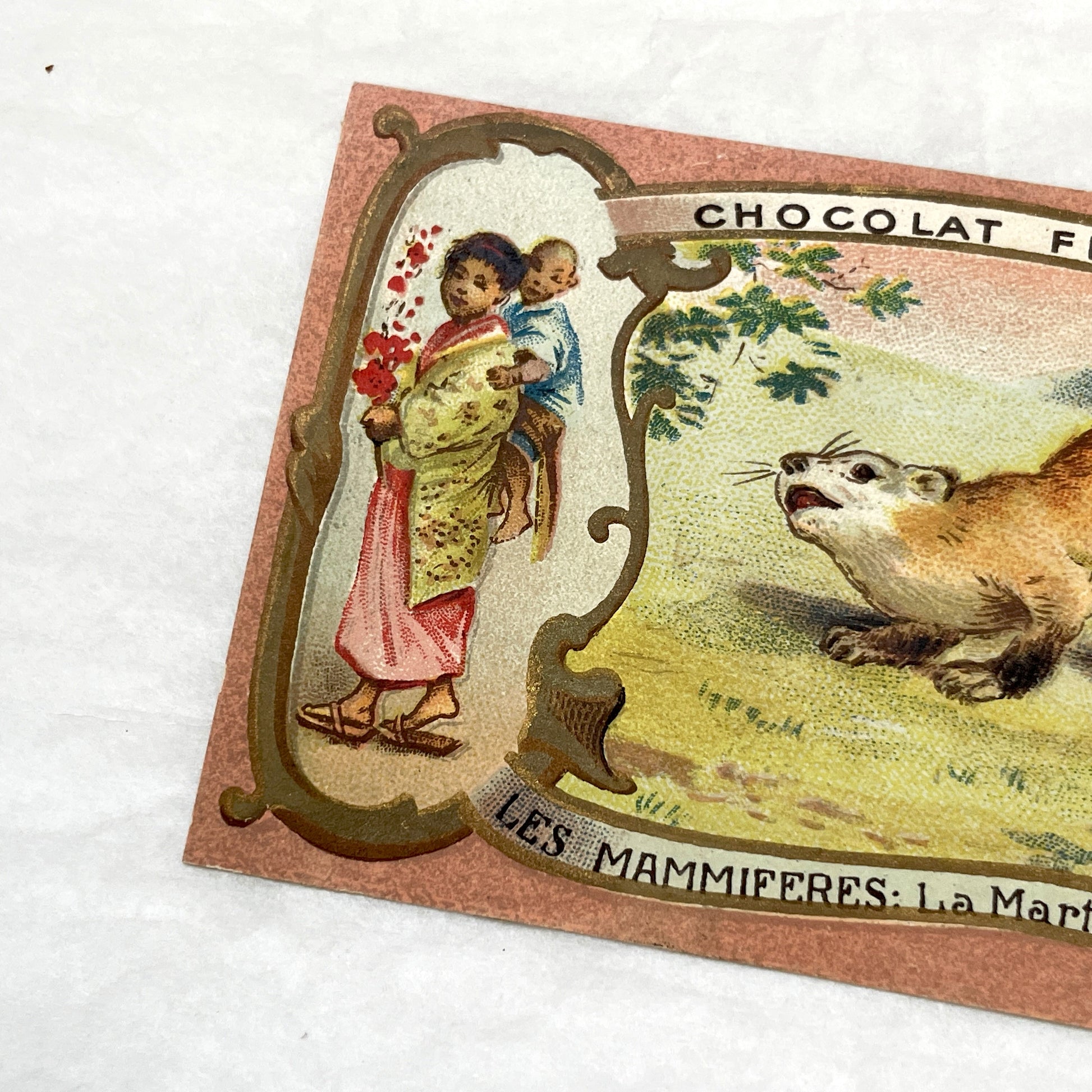 1900s - 2 Vintage Félix Potin Chocolate Advertising Cards - Mammals Series - Fox & Sable Marten Chromos - French Collectibles - Ephemera Art