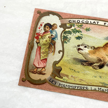 1900s - 2 Vintage Félix Potin Chocolate Advertising Cards - Mammals Series - Fox & Sable Marten Chromos - French Collectibles - Ephemera Art