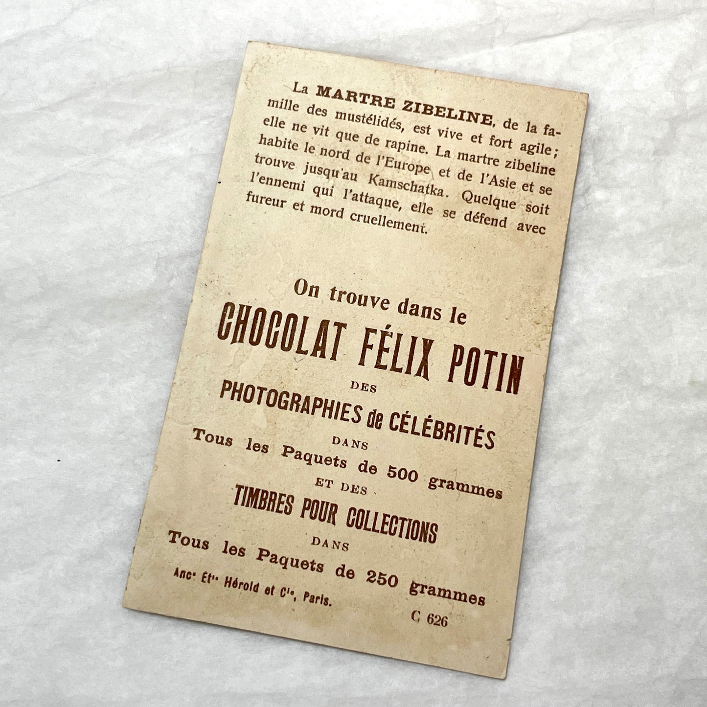 1900s - 2 Vintage Félix Potin Chocolate Advertising Cards - Mammals Series - Fox & Sable Marten Chromos - French Collectibles - Ephemera Art