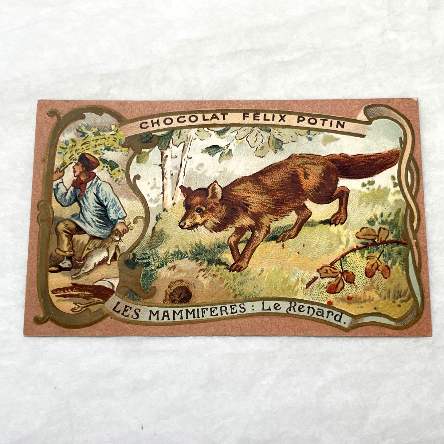 1900s - 2 Vintage Félix Potin Chocolate Advertising Cards - Mammals Series - Fox & Sable Marten Chromos - French Collectibles - Ephemera Art
