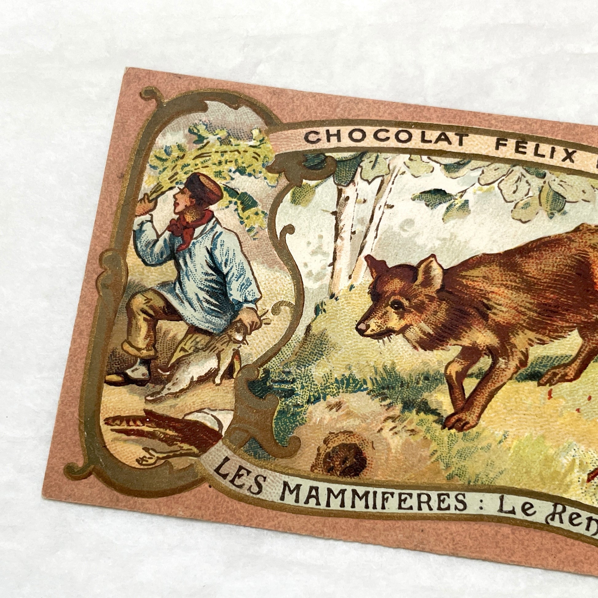 1900s - 2 Vintage Félix Potin Chocolate Advertising Cards - Mammals Series - Fox & Sable Marten Chromos - French Collectibles - Ephemera Art