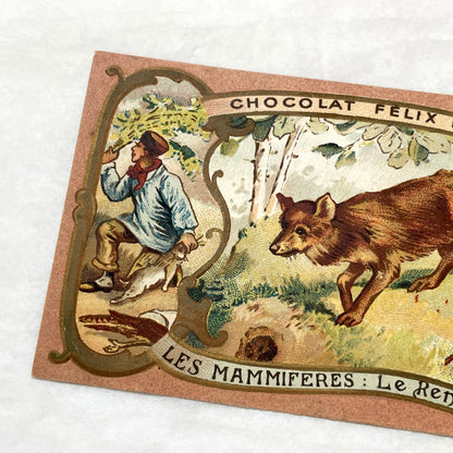 1900s - 2 Vintage Félix Potin Chocolate Advertising Cards - Mammals Series - Fox & Sable Marten Chromos - French Collectibles - Ephemera Art