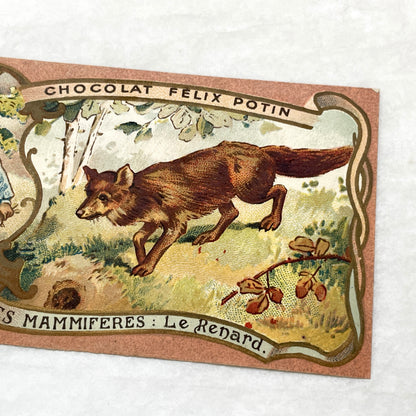 1900s - 2 Vintage Félix Potin Chocolate Advertising Cards - Mammals Series - Fox & Sable Marten Chromos - French Collectibles - Ephemera Art